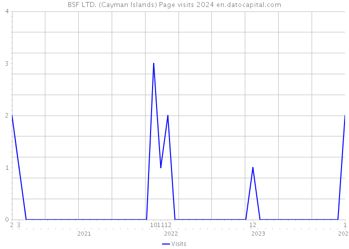 BSF LTD. (Cayman Islands) Page visits 2024 
