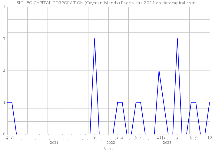 BIG LEO CAPITAL CORPORATION (Cayman Islands) Page visits 2024 