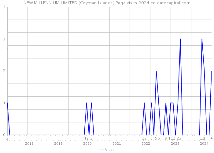 NEW MILLENNIUM LIMITED (Cayman Islands) Page visits 2024 