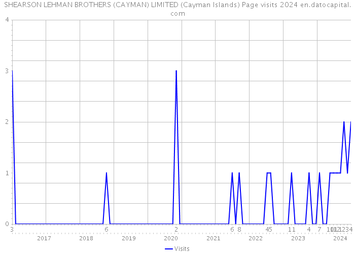 SHEARSON LEHMAN BROTHERS (CAYMAN) LIMITED (Cayman Islands) Page visits 2024 