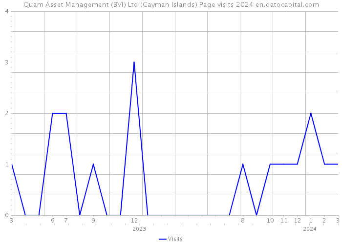 Quam Asset Management (BVI) Ltd (Cayman Islands) Page visits 2024 
