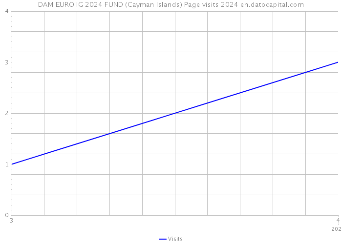 DAM EURO IG 2024 FUND (Cayman Islands) Page visits 2024 