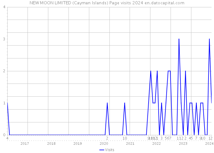 NEW MOON LIMITED (Cayman Islands) Page visits 2024 