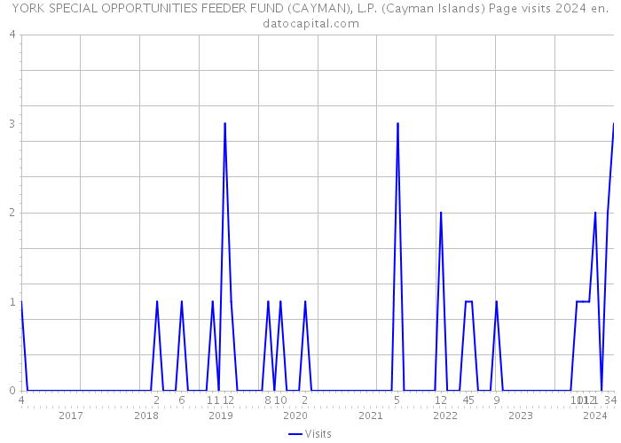 YORK SPECIAL OPPORTUNITIES FEEDER FUND (CAYMAN), L.P. (Cayman Islands) Page visits 2024 
