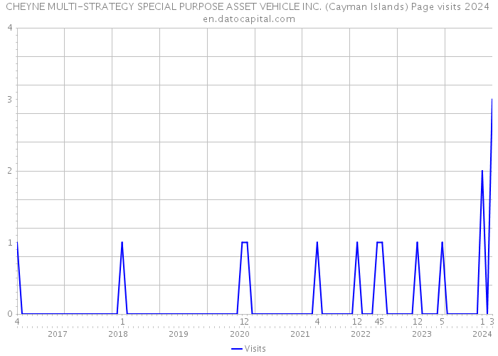 CHEYNE MULTI-STRATEGY SPECIAL PURPOSE ASSET VEHICLE INC. (Cayman Islands) Page visits 2024 