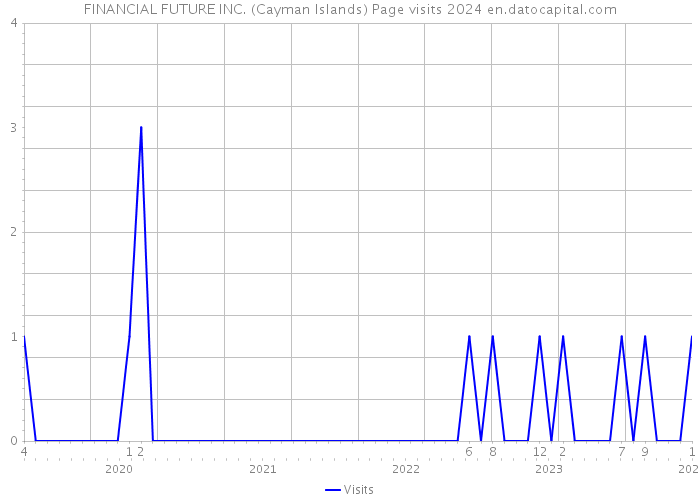 FINANCIAL FUTURE INC. (Cayman Islands) Page visits 2024 