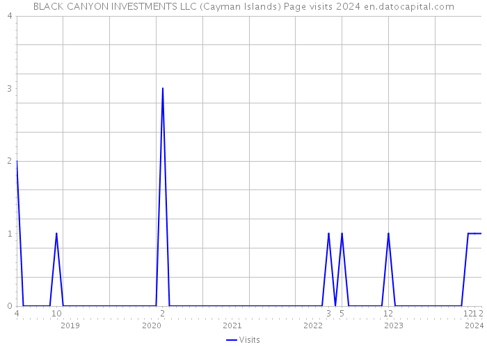BLACK CANYON INVESTMENTS LLC (Cayman Islands) Page visits 2024 