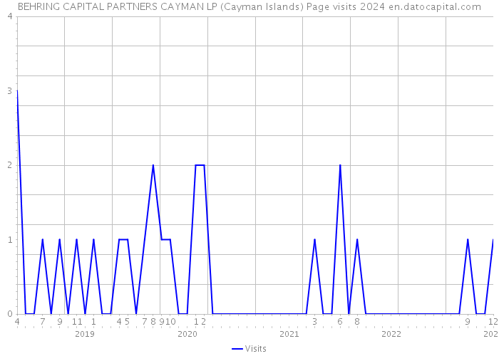 BEHRING CAPITAL PARTNERS CAYMAN LP (Cayman Islands) Page visits 2024 