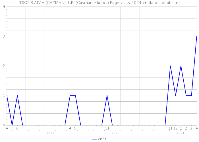 TSG7 B AIV V (CAYMAN), L.P. (Cayman Islands) Page visits 2024 