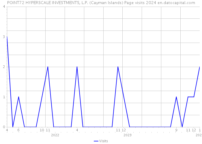 POINT72 HYPERSCALE INVESTMENTS, L.P. (Cayman Islands) Page visits 2024 