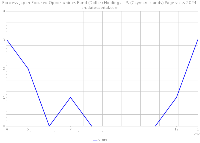 Fortress Japan Focused Opportunities Fund (Dollar) Holdings L.P. (Cayman Islands) Page visits 2024 