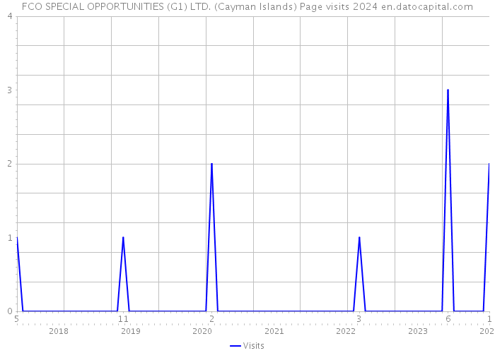 FCO SPECIAL OPPORTUNITIES (G1) LTD. (Cayman Islands) Page visits 2024 