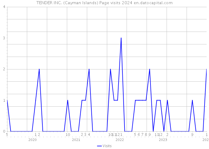 TENDER INC. (Cayman Islands) Page visits 2024 