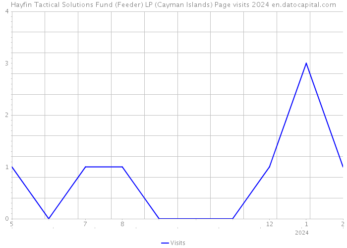 Hayfin Tactical Solutions Fund (Feeder) LP (Cayman Islands) Page visits 2024 