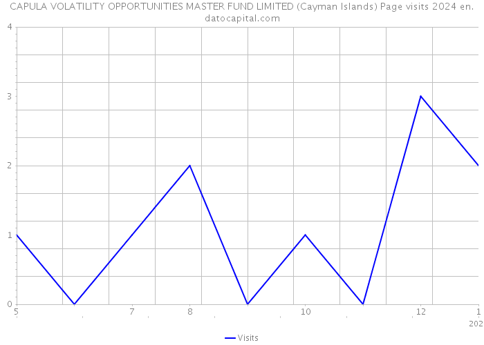 CAPULA VOLATILITY OPPORTUNITIES MASTER FUND LIMITED (Cayman Islands) Page visits 2024 