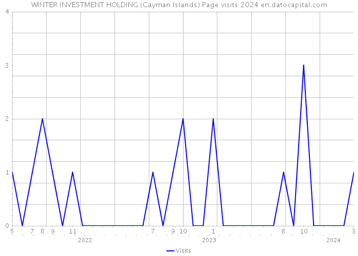WINTER INVESTMENT HOLDING (Cayman Islands) Page visits 2024 