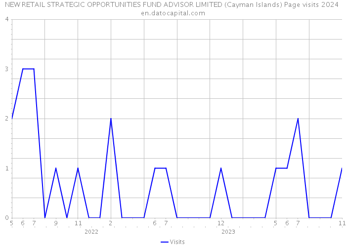 NEW RETAIL STRATEGIC OPPORTUNITIES FUND ADVISOR LIMITED (Cayman Islands) Page visits 2024 
