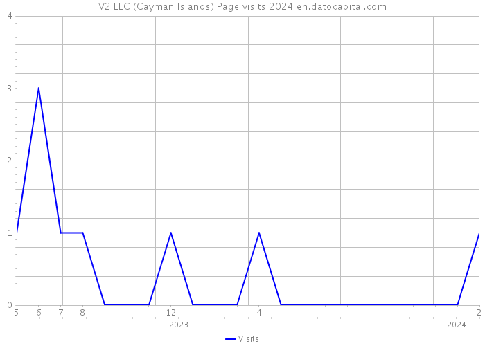 V2 LLC (Cayman Islands) Page visits 2024 
