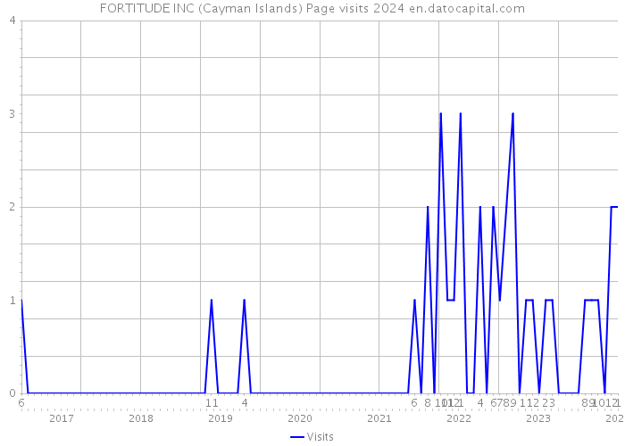 FORTITUDE INC (Cayman Islands) Page visits 2024 