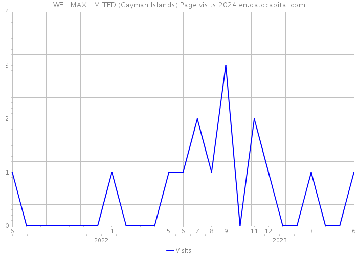 WELLMAX LIMITED (Cayman Islands) Page visits 2024 