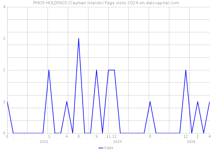 PHOS HOLDINGS (Cayman Islands) Page visits 2024 
