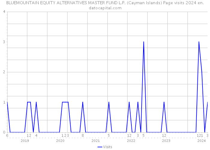 BLUEMOUNTAIN EQUITY ALTERNATIVES MASTER FUND L.P. (Cayman Islands) Page visits 2024 