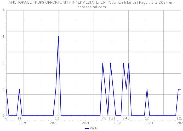 ANCHORAGE TRUPS OPPORTUNITY INTERMEDIATE, L.P. (Cayman Islands) Page visits 2024 