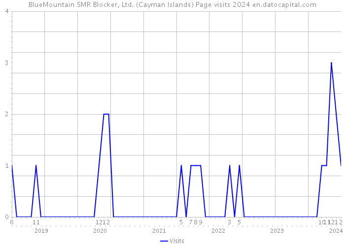 BlueMountain SMR Blocker, Ltd. (Cayman Islands) Page visits 2024 