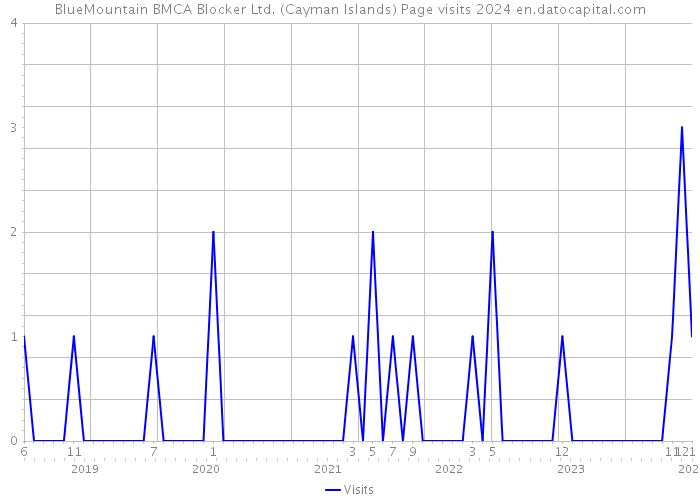 BlueMountain BMCA Blocker Ltd. (Cayman Islands) Page visits 2024 