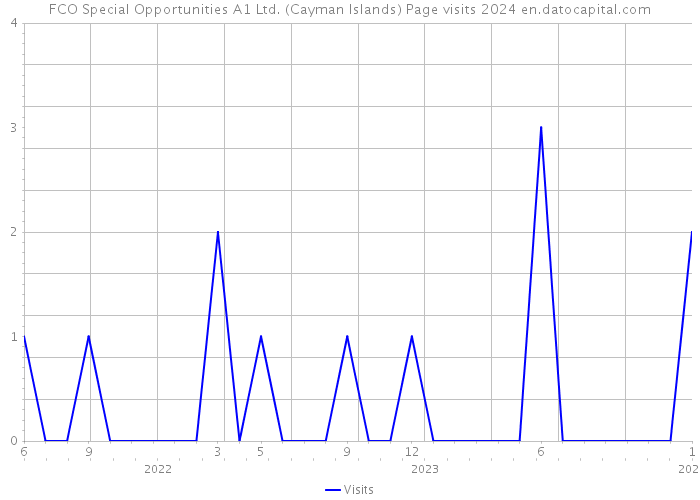 FCO Special Opportunities A1 Ltd. (Cayman Islands) Page visits 2024 