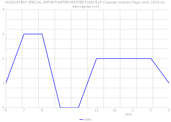 HUDSON BAY SPECIAL OPPORTUNITIES MASTER FUND B LP (Cayman Islands) Page visits 2024 