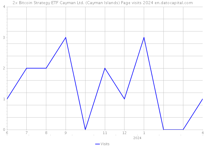 2x Bitcoin Strategy ETF Cayman Ltd. (Cayman Islands) Page visits 2024 