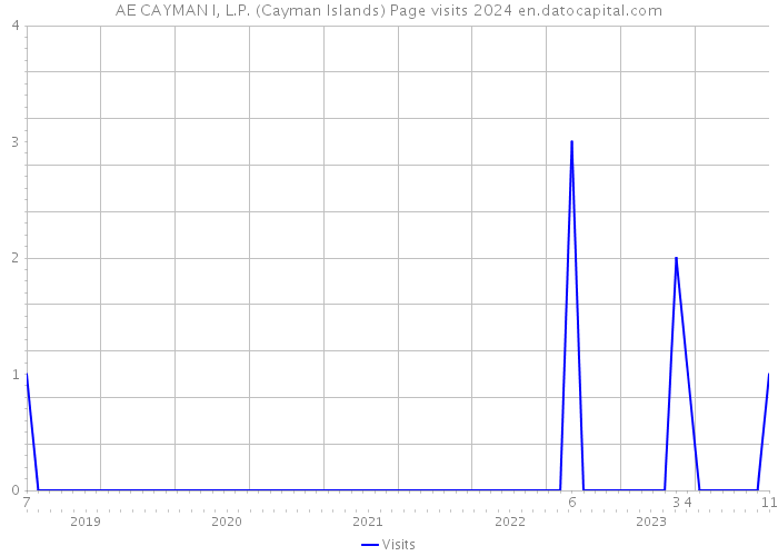 AE CAYMAN I, L.P. (Cayman Islands) Page visits 2024 