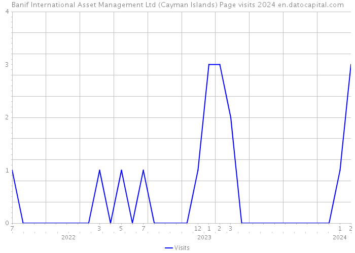 Banif International Asset Management Ltd (Cayman Islands) Page visits 2024 