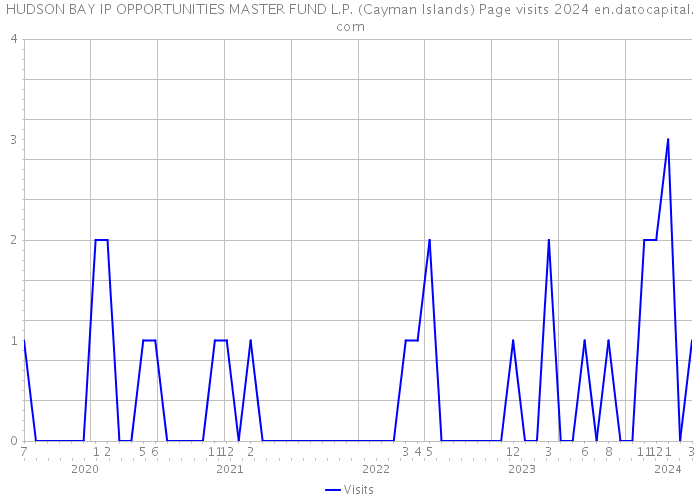 HUDSON BAY IP OPPORTUNITIES MASTER FUND L.P. (Cayman Islands) Page visits 2024 