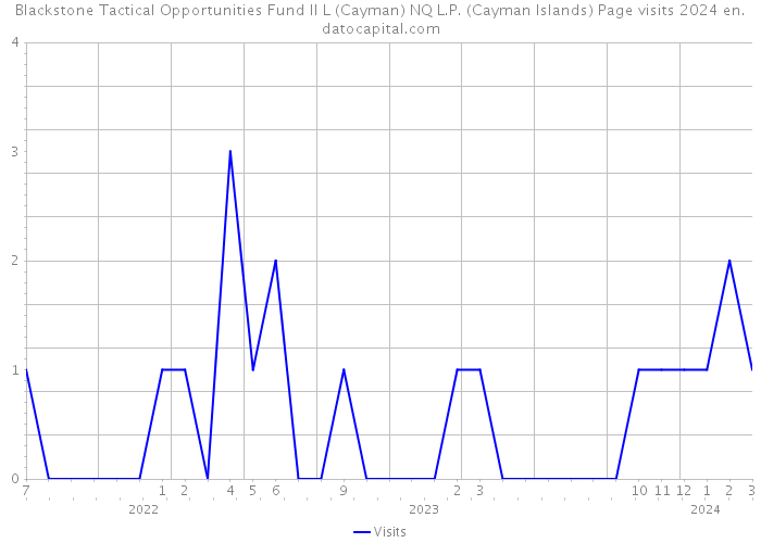 Blackstone Tactical Opportunities Fund II L (Cayman) NQ L.P. (Cayman Islands) Page visits 2024 