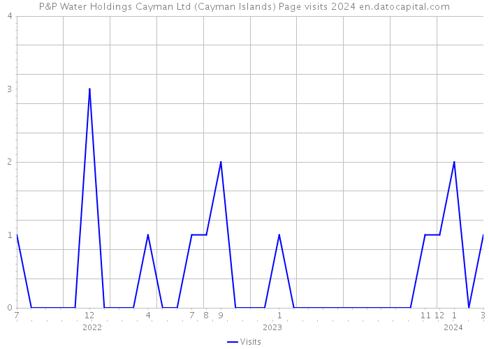 P&P Water Holdings Cayman Ltd (Cayman Islands) Page visits 2024 