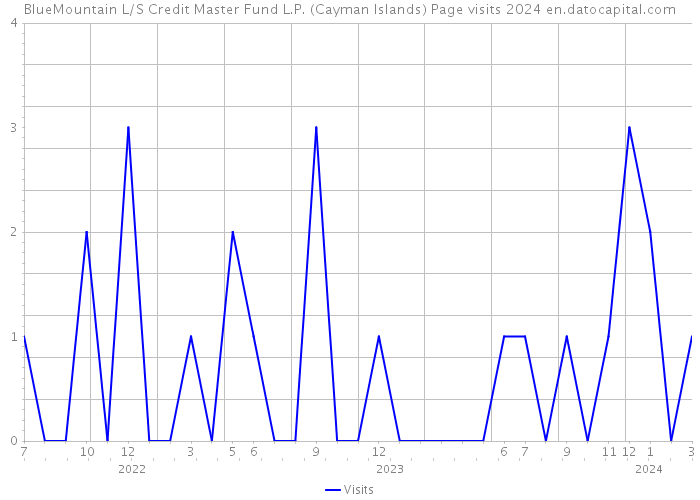 BlueMountain L/S Credit Master Fund L.P. (Cayman Islands) Page visits 2024 