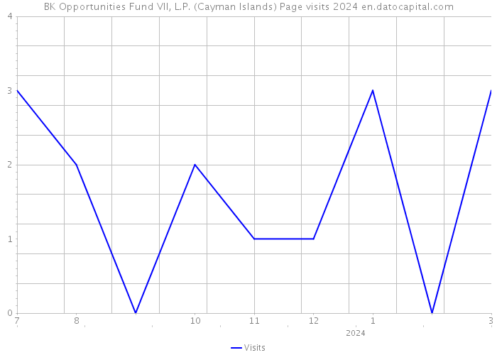 BK Opportunities Fund VII, L.P. (Cayman Islands) Page visits 2024 