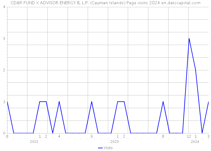 CD&R FUND X ADVISOR ENERGY B, L.P. (Cayman Islands) Page visits 2024 
