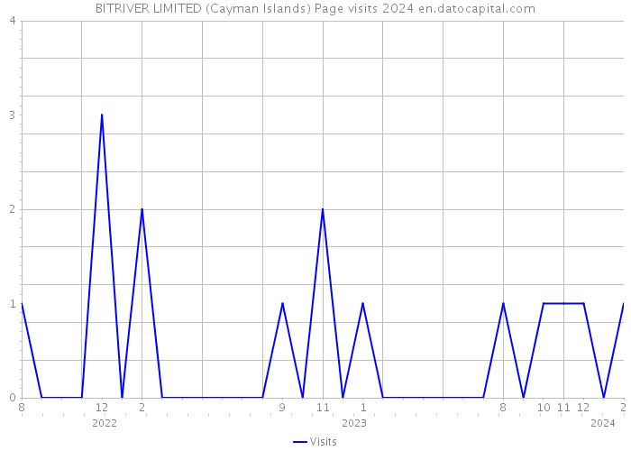 BITRIVER LIMITED (Cayman Islands) Page visits 2024 