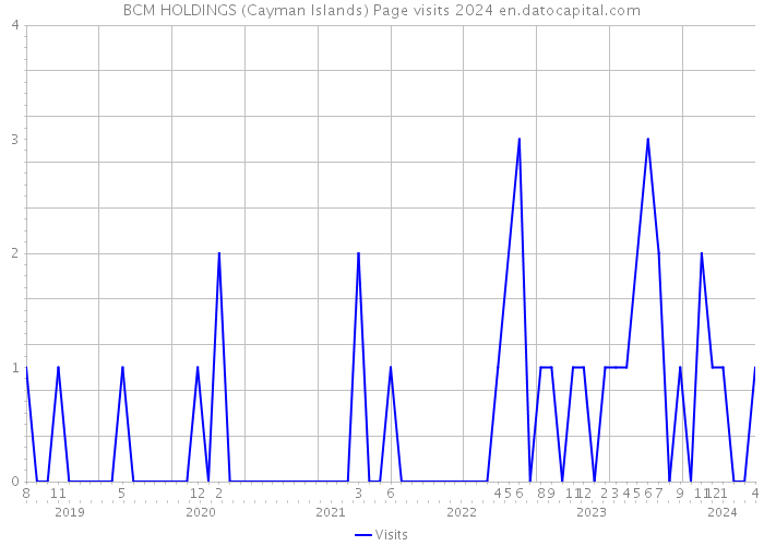 BCM HOLDINGS (Cayman Islands) Page visits 2024 