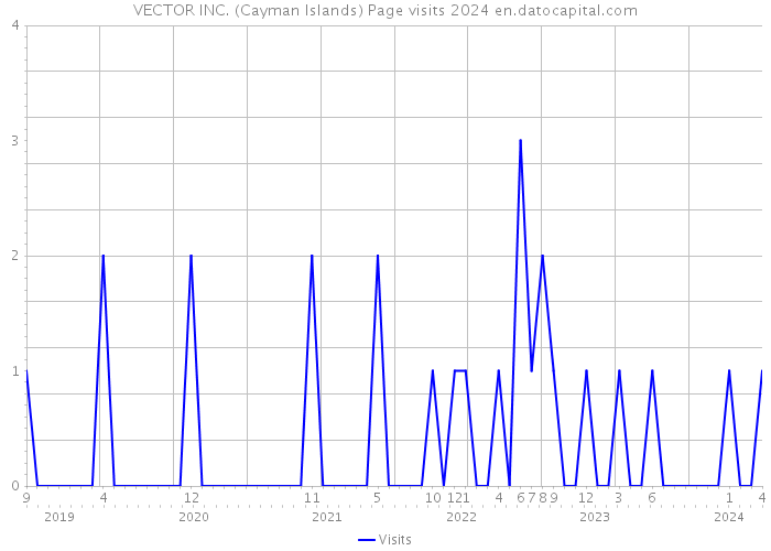 VECTOR INC. (Cayman Islands) Page visits 2024 