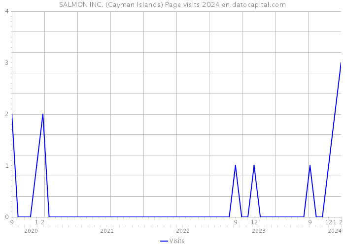 SALMON INC. (Cayman Islands) Page visits 2024 