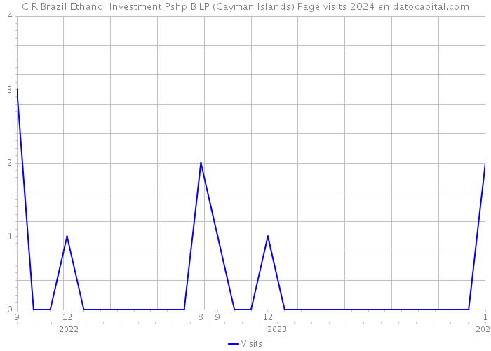 C R Brazil Ethanol Investment Pshp B LP (Cayman Islands) Page visits 2024 