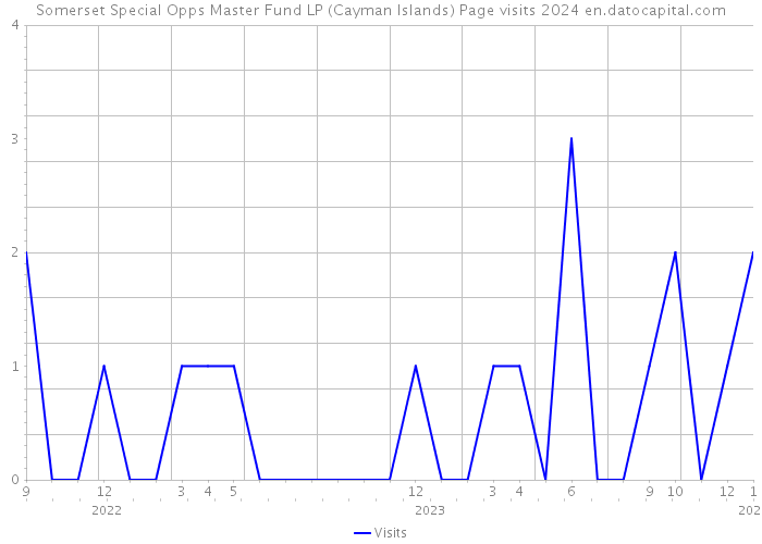 Somerset Special Opps Master Fund LP (Cayman Islands) Page visits 2024 