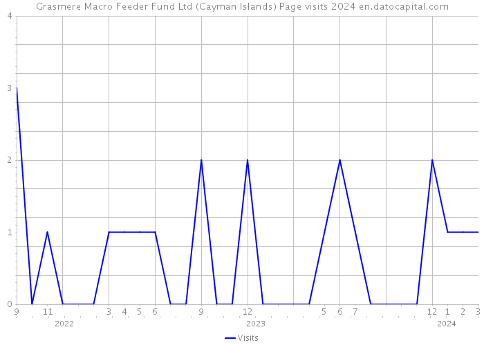 Grasmere Macro Feeder Fund Ltd (Cayman Islands) Page visits 2024 
