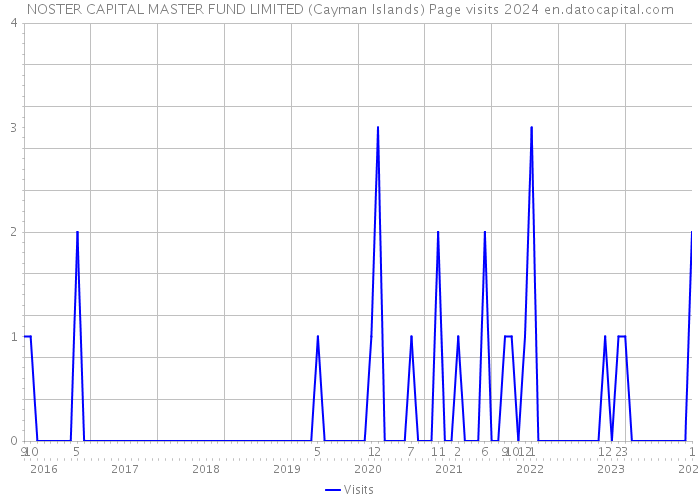 NOSTER CAPITAL MASTER FUND LIMITED (Cayman Islands) Page visits 2024 