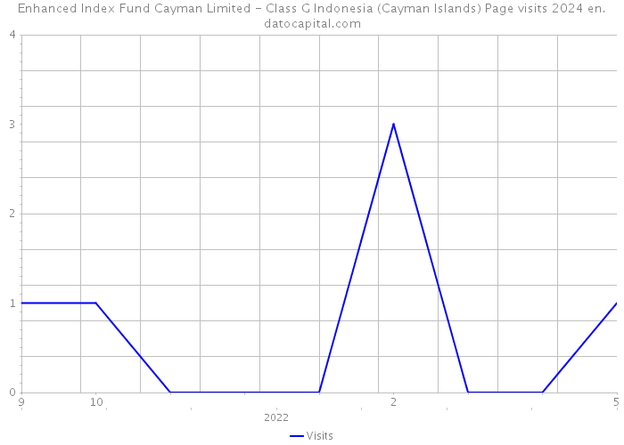 Enhanced Index Fund Cayman Limited - Class G Indonesia (Cayman Islands) Page visits 2024 