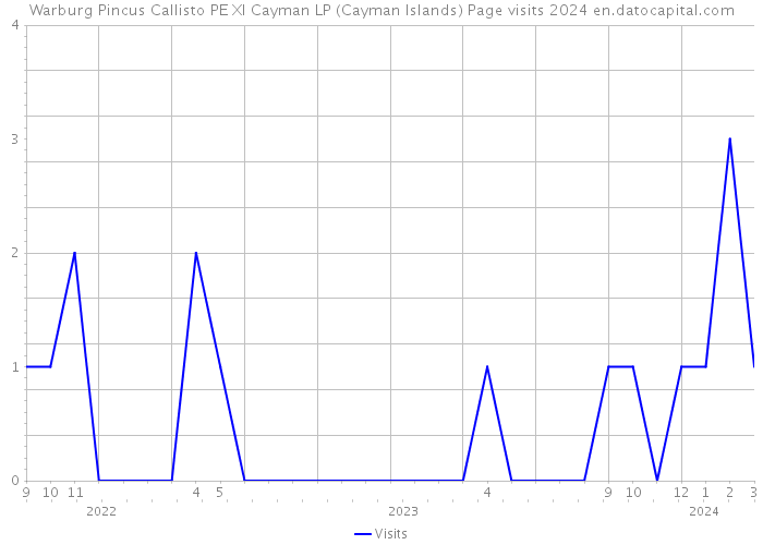 Warburg Pincus Callisto PE XI Cayman LP (Cayman Islands) Page visits 2024 